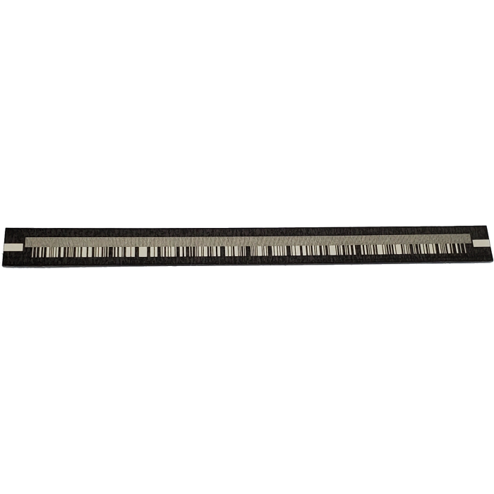 Linear PET scale 100µm 56.4x5x0.4mm Absolute